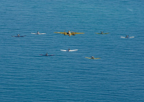 2015VeteransDayFlight-139