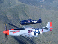 JohnCutright_DSC_4511