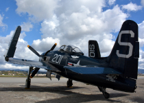 Bearcat_DSC_4551