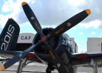 Bearcat_DSC_4552