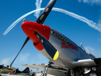 CAFSoCal_Mugu2015_071