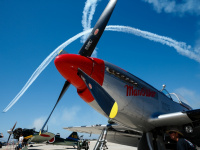 CAFSoCal_Mugu2015_072