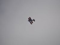 051__DSC0117