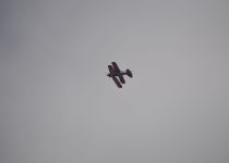 051__DSC0117