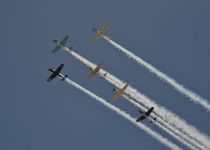 056__DSC0288