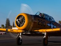 fifi-25