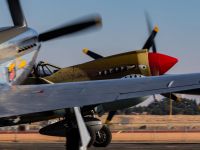 fifi-27