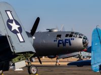 fifi-34