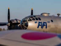 fifi-35