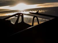 fifi-37