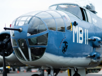 B25-PBJ_Maiden-001