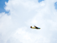TehachapiClassicGliders2016-052