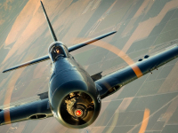 Bearcat_07
