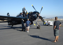Bearcat_14