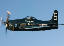 Bearcat_17