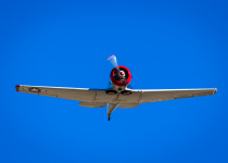 JoePeppitoMemorial_426