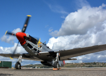 P51_DSC_4528