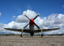 P51_DSC_4531