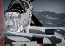 P51_DSC_4580