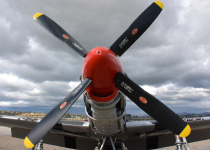 P51_DSC_4592