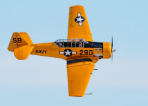SNJ-290-crop