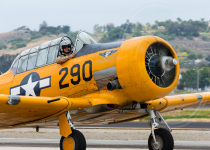 SNJ5-290_05152016-001