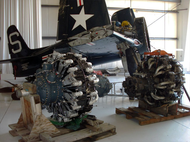 bear-burbank-4